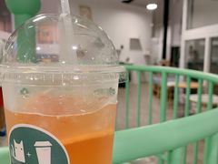 -有猫主题·治愈系猫咖(曾厝垵店)