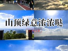 -水濂山森林公园