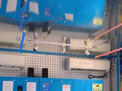 -移动谜城·大笨象密室逃脱(五棵松店)