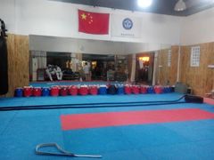 android_upload_pic-金翼跆拳道巴西柔术拳击格斗学院