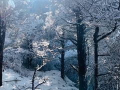 -峨眉山风景名胜区