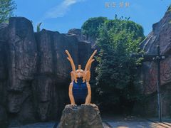 -哈尔滨文化公园