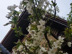 -丝绸小镇荻港古村