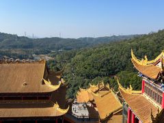 -东莞市大岭山森林公园