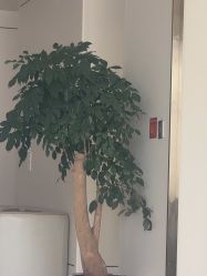 -韩辰医疗美容医院