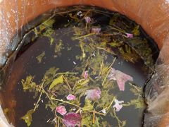 -芳草堂中医门诊部(怡芳苑店)
