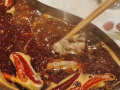 -彤德莱牛肉火锅(双港店)