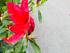 -渤公岛生态公园