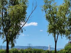 -森林公园(尖草坪区)