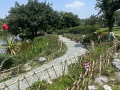 -东莞植物园