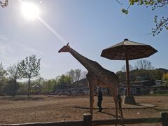 -大连森林动物园