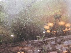 -河南宝泉旅游区