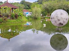 -林丰温泉度假山庄