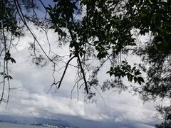 -东姑阿都拉曼海洋公园