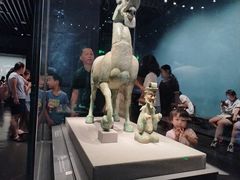 -广西壮族自治区博物馆