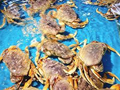 -宝燕海鲜(好爱店)