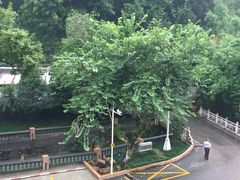 -广东温泉宾馆