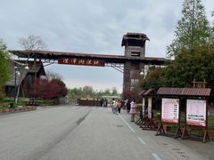 -泗洪洪泽湖湿地景区