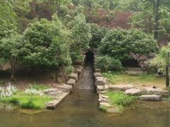 -桃花岭景区