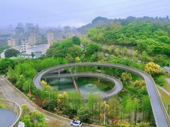 -福道
