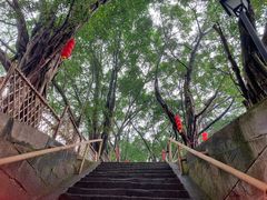 -丰都鬼城名山景区