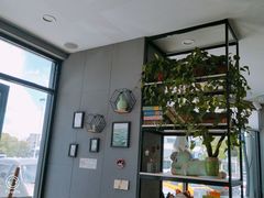 -巡茶(世纪大道店)