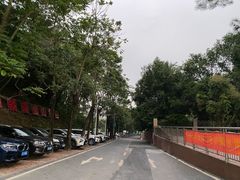 -火炉山森林公园