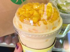 -茉酸奶(春熙路店)