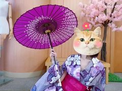 -日本大使馆-新闻文化中心