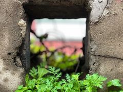 -天津盘山风景名胜区