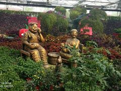 -兰陵国家农业公园