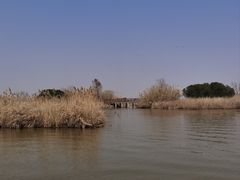 -宁波杭州湾国家湿地公园