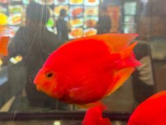 -三八饭店(南京路店)