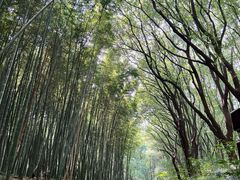 -同里国家湿地公园