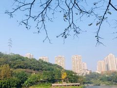 -重庆彩云湖湿地公园