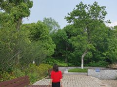 -长田漾湿地公园