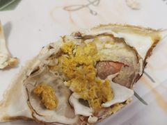 -何庄子阿米玛玛农产品批发市场