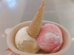 -极拉图·现制冰淇淋(大卫城店)