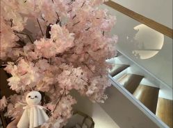 -可樱汇·美容洗发SPA