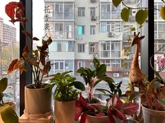 -懒人盐府人家(航天桥店)