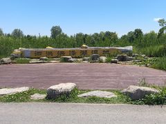 -泗洪洪泽湖湿地景区