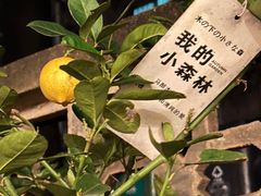 -嘁嘁茶泡饭