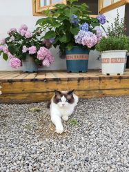 -DORA kids 朵拉儿童摄影花园店