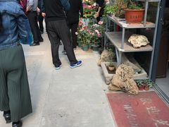 -龙大花卉苗木市场
