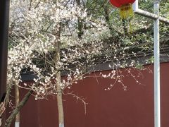 -钱王祠