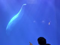 -大连圣亚海洋世界