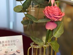 -哈根达斯(天河城店)
