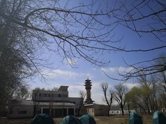 -廊坊市自然公园