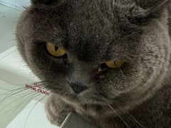 -美美宠物诊疗中心·异宠·骨科(滨江东信分院)