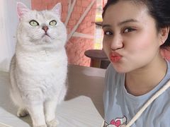 -喵屿·大理花园猫咖